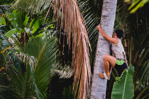 Kao podmazano: Nabava kokosovog ulja