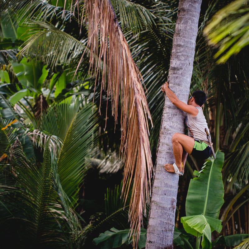 Kao podmazano: Nabava kokosovog ulja