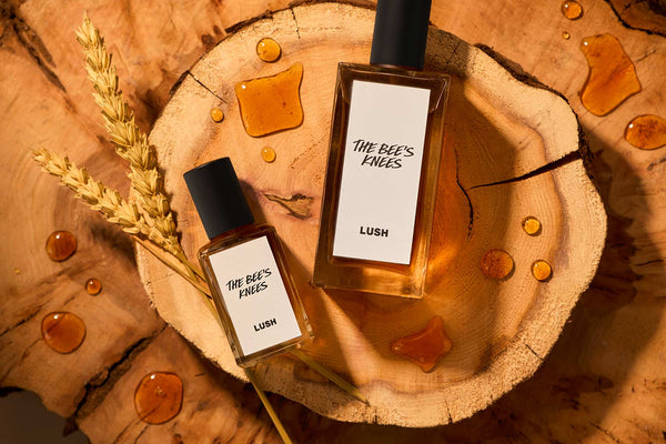 Sastojak koji potiče bioraznolikost u Brazilu