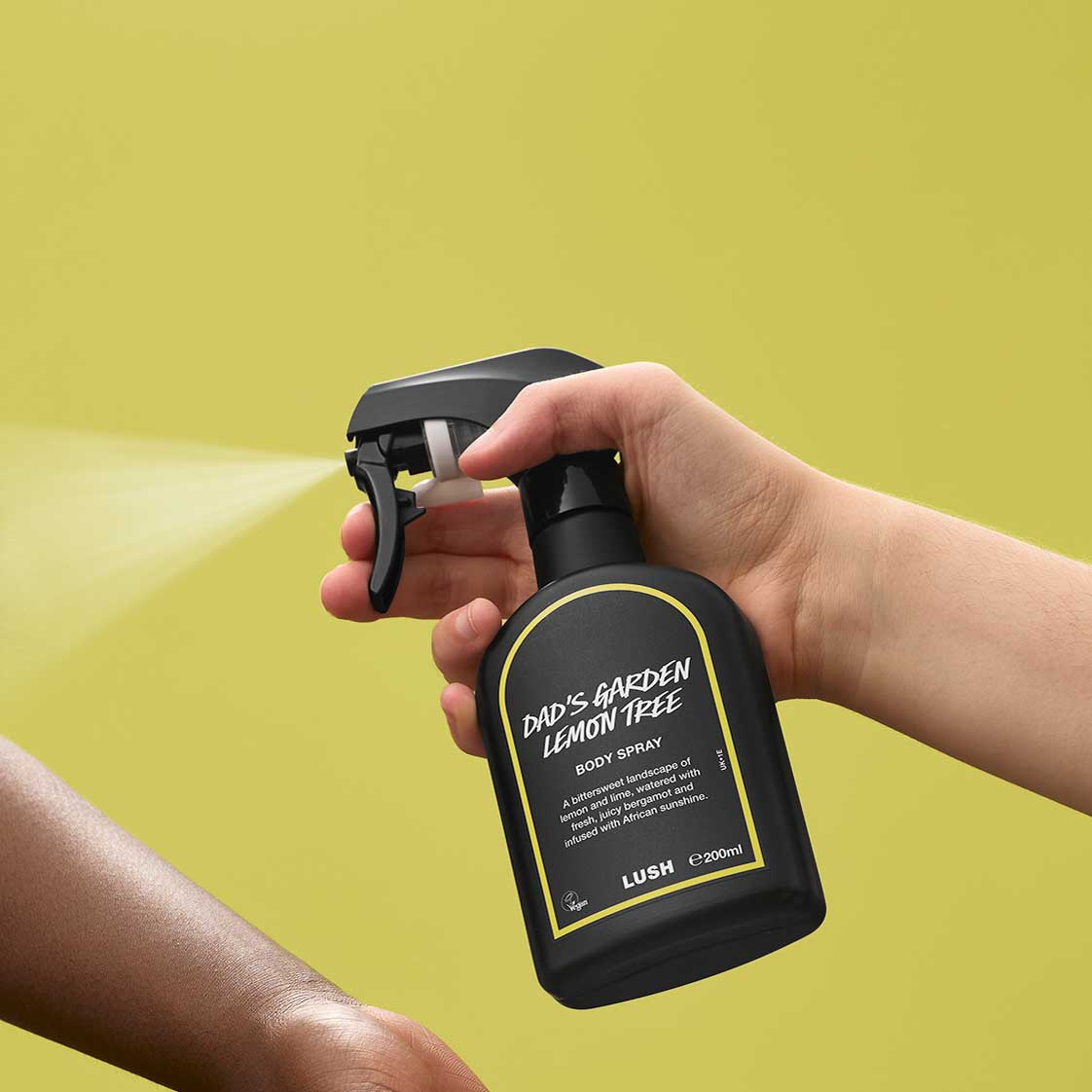 Dad's Garden Lemon Tree