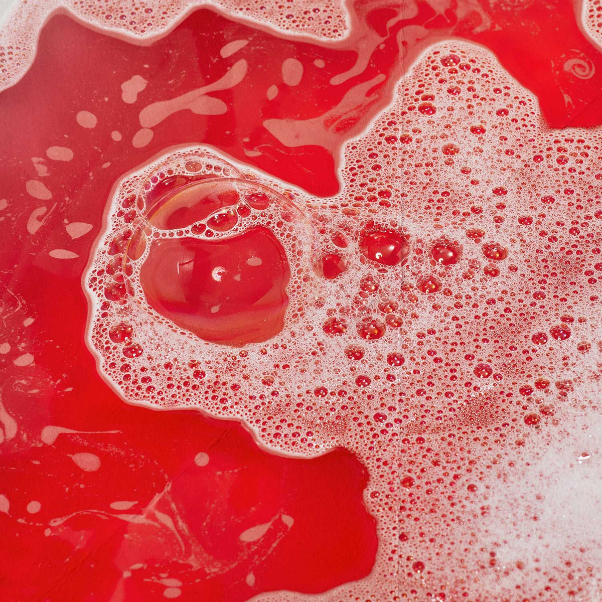 Lord of Misrule