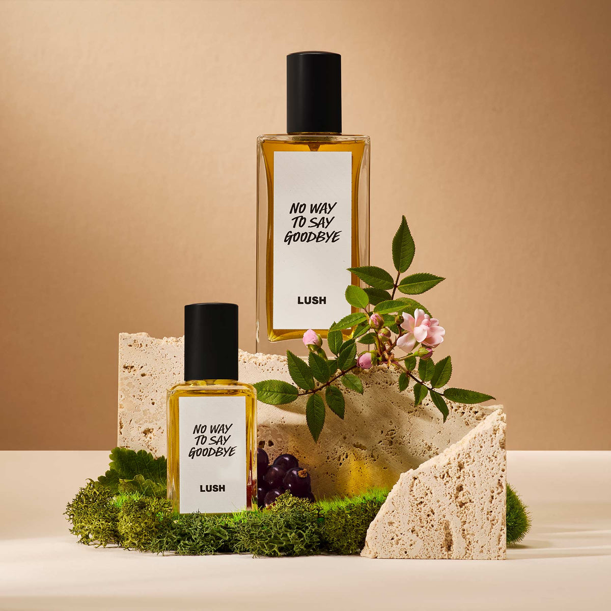 No Way To Say Goodbye