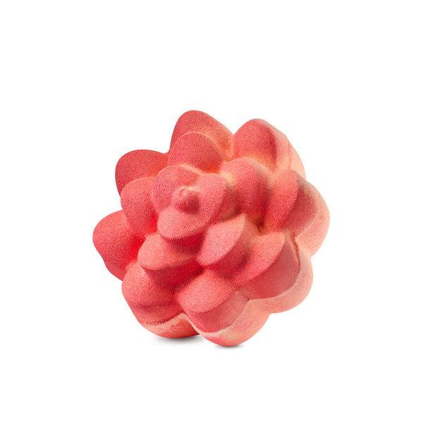 Comforter Rose